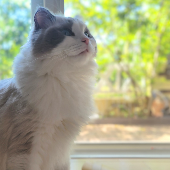 看護師インタビュー