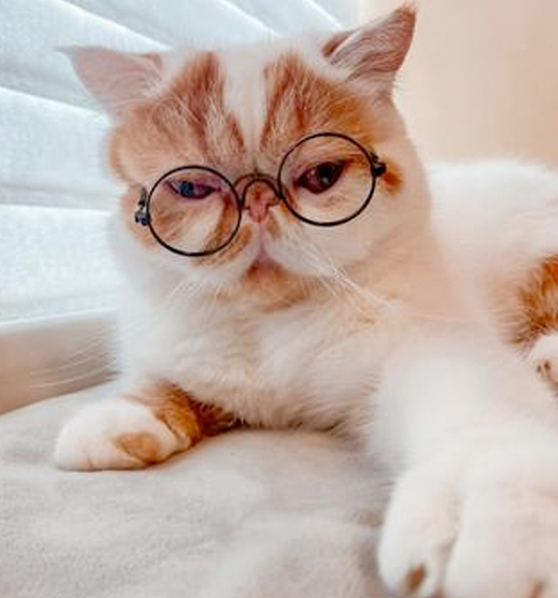 受付スタッフインタビュー