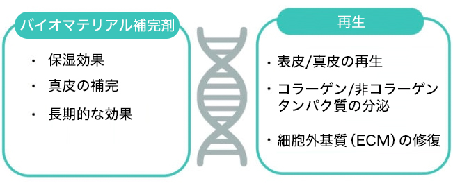 リジュランの作用機序