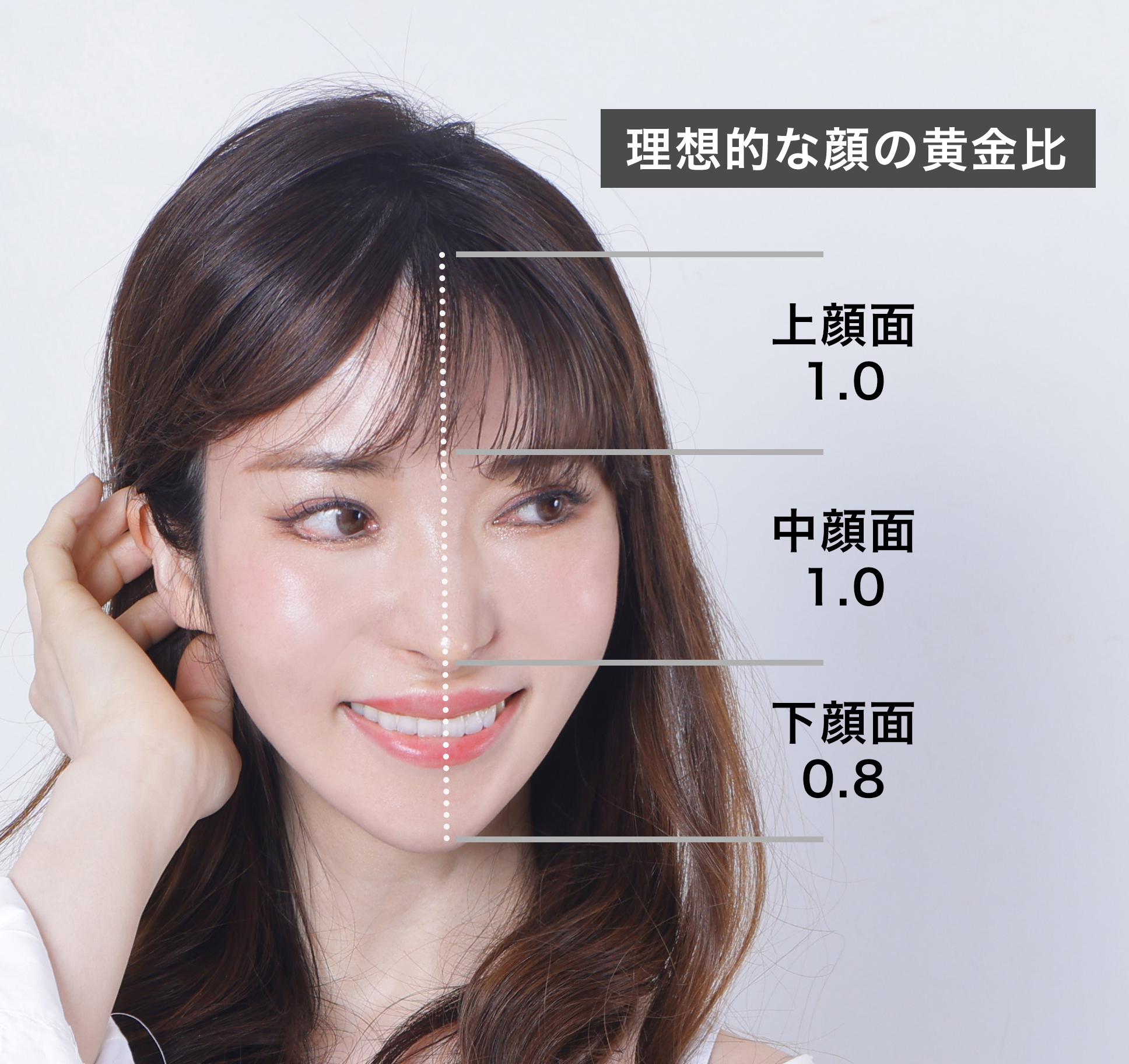 理想的な顔の黄金比