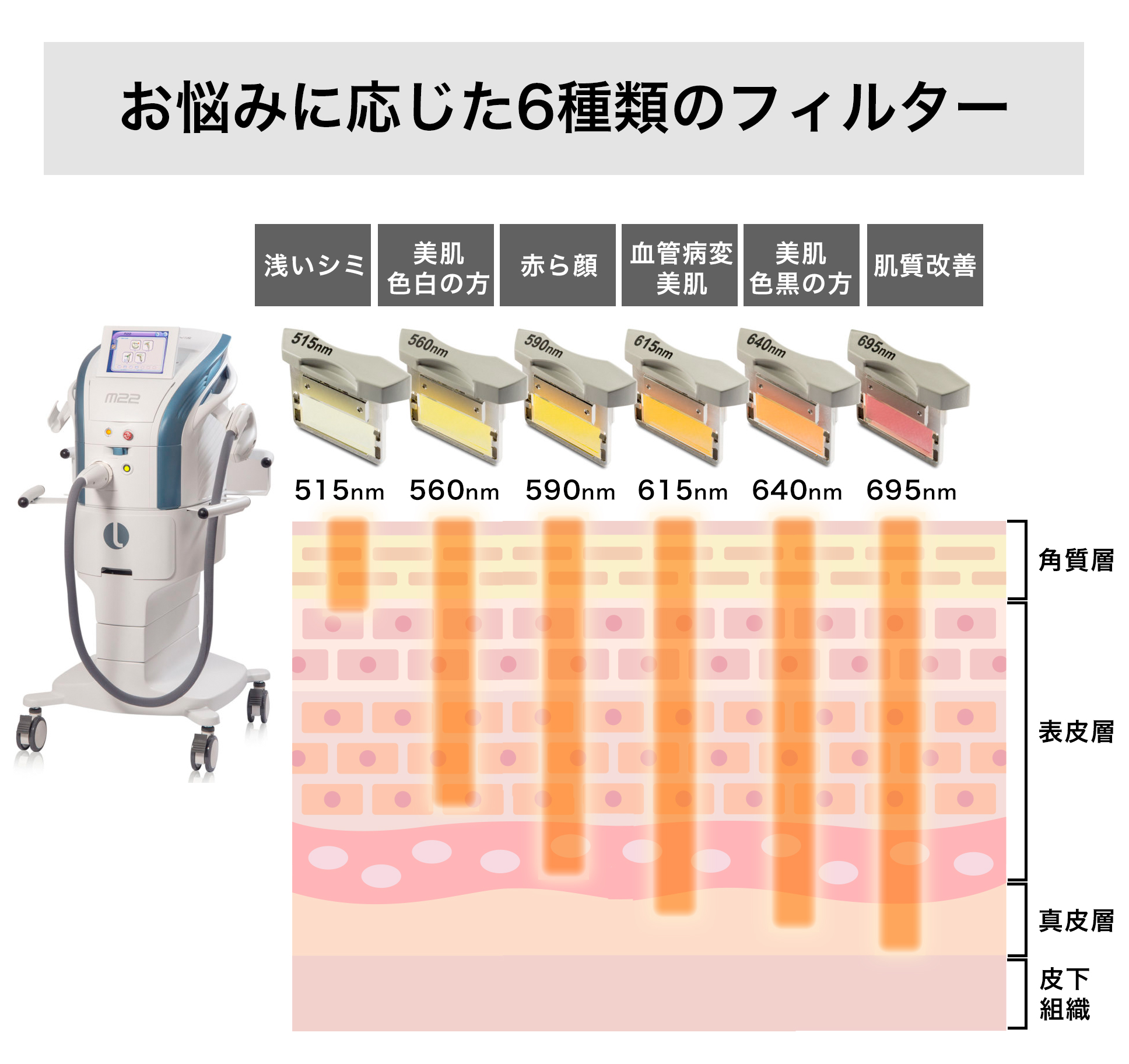 フォトフェイシャルM22